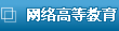 网络高等教育