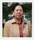 陈颖老师
