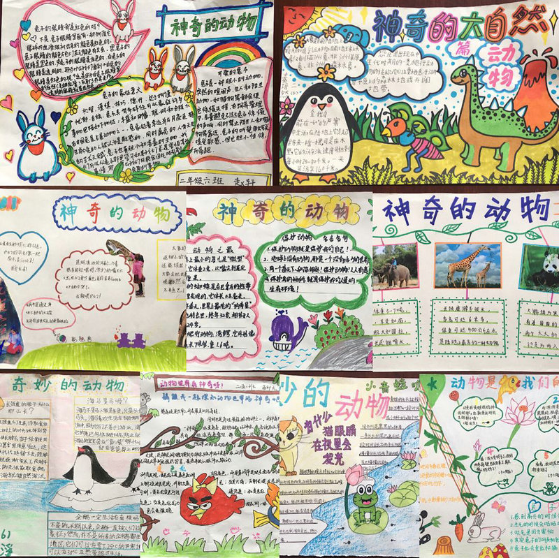 学科学爱科学二至六年级科学手抄报展览
