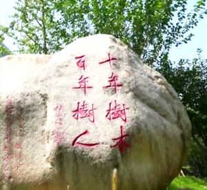 条件与质量保障